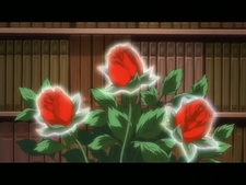 Magical Witch Academy: Boku to Sensei no Magical Lesson - The Animation